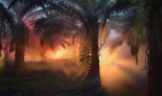 Julian Charrière - An Invitation to Disappear - Sulawesi, 2018 (copyright the artist; VG Bild-Kunst, Bonn, Germany)